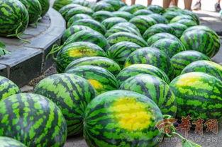 大学吃瓜爆料,那些你不知道的吃瓜爆料