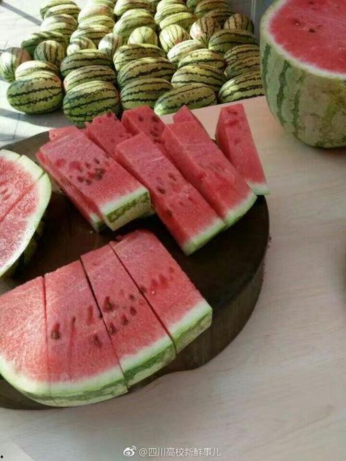 大学吃瓜爆料,那些你不知道的吃瓜爆料