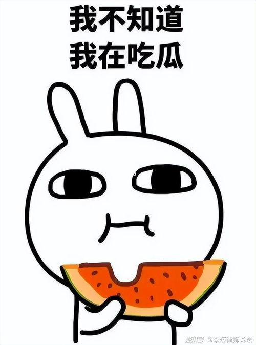 娱乐吃瓜酱肥肥猪的日常,笑料百出,趣味横生